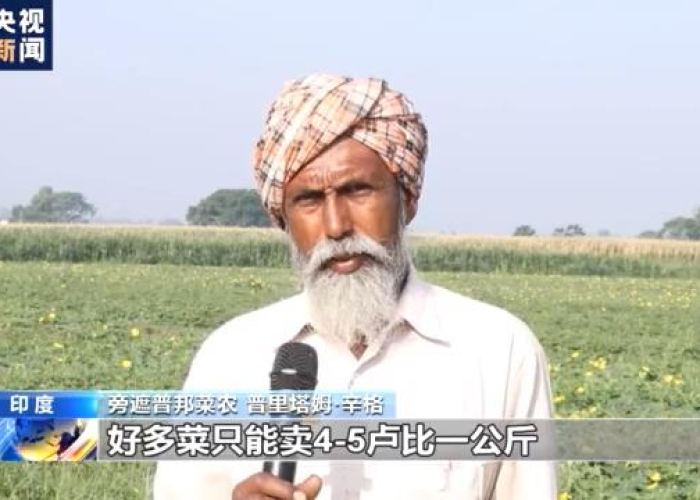 疫情过后三年，疫情过后三年了怎么样才能挣上钱