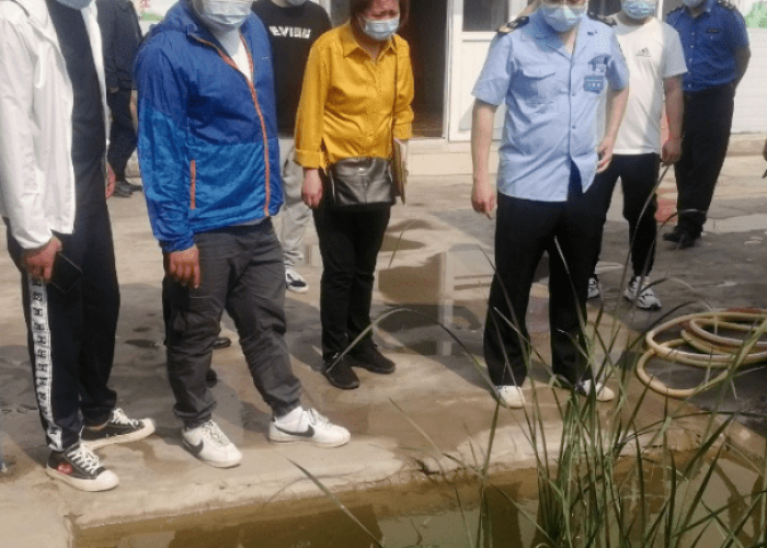 重庆疫情实时情况查询，重庆疫情实时报道