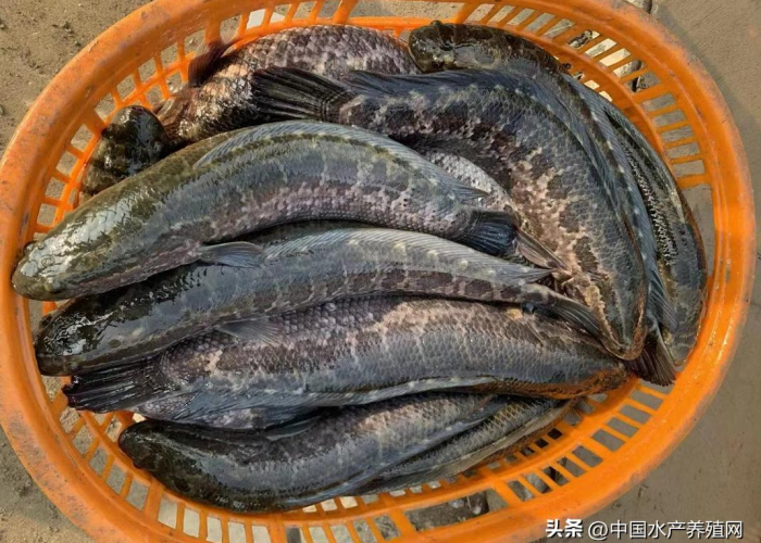 疫情从开始到现在多久了，疫情从开始到现在多久了啊