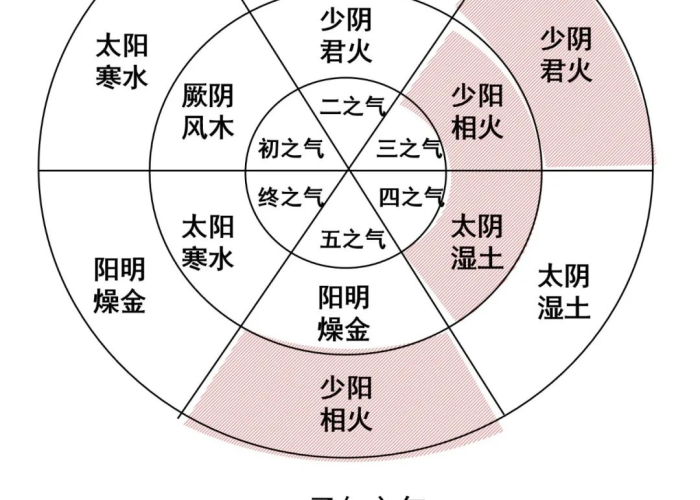 疫情从什么时候开始的2019，疫情从什么时候开始的?