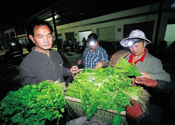 疫情开始时间是哪年几月几日爆发，疫情是哪一年开始的