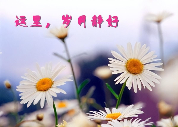 2023疫情什么时候解封的呢，2023疫情什么时候解封的呢最新消息