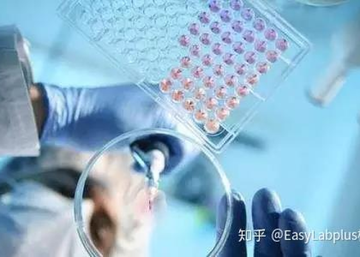 疫情是什么病毒叫什么名称来着，疫情是什么病毒?