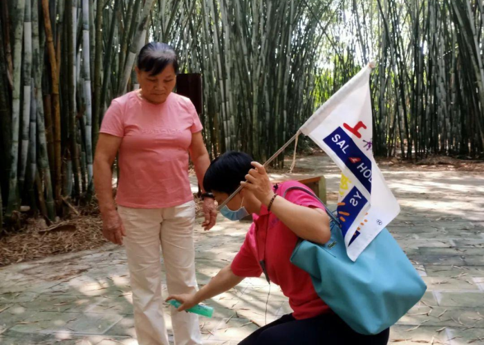 疫情开始的时间是几月几号开始，疫情开始于什么时候?