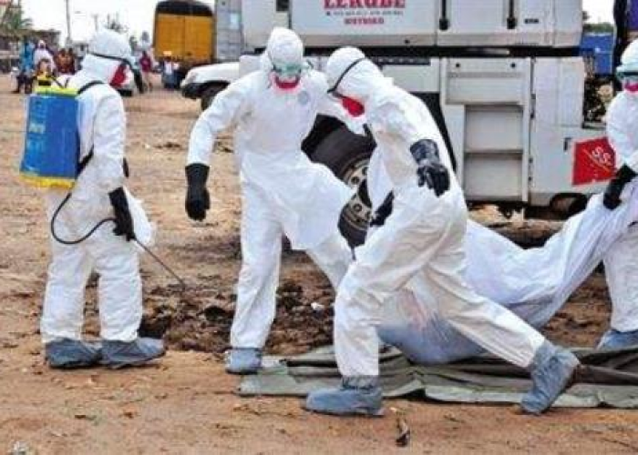 疫情最新情况全球死亡人数，全球疫情最新死亡人数昨天