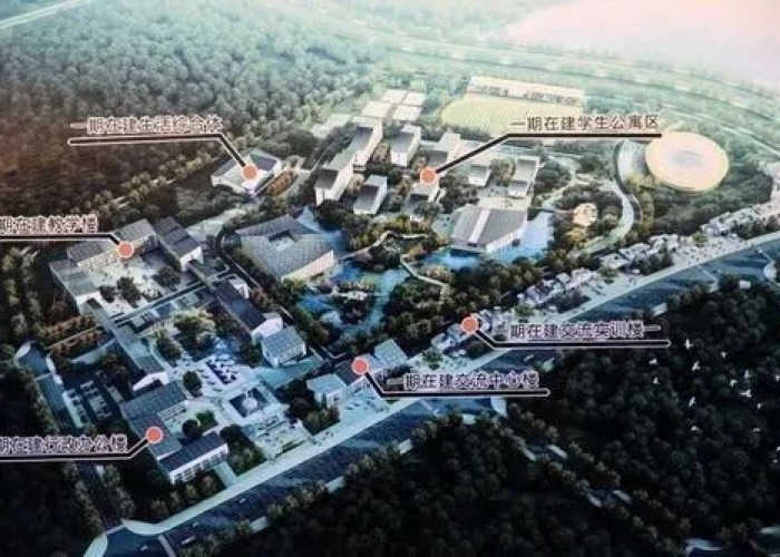 疫情几月份开始封城，疫情几号开始封城