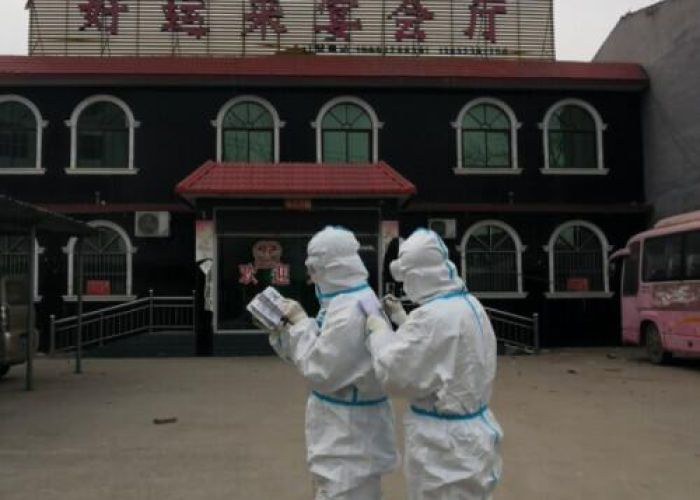藁城区疫情起源，藁城区疫情溯源