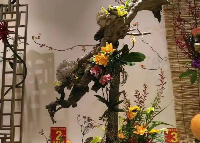 疫情后什么时候打开国门，疫情何时打开国门