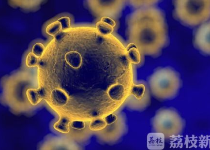 疫情是哪年开始的什么时候结束的，疫情是哪一年开始爆发的