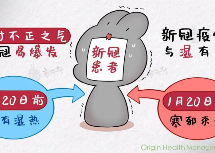 疫情开始的年份，疫情哪年来的