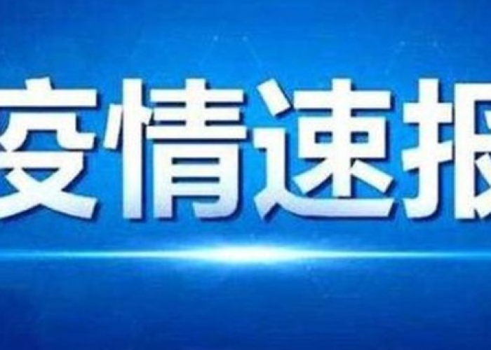 12月7日疫情通报，12月7日0一24时全国疫情