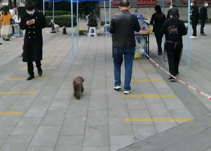 成都疫情啥时候结束最新消息，成都疫情大概什么时候结束