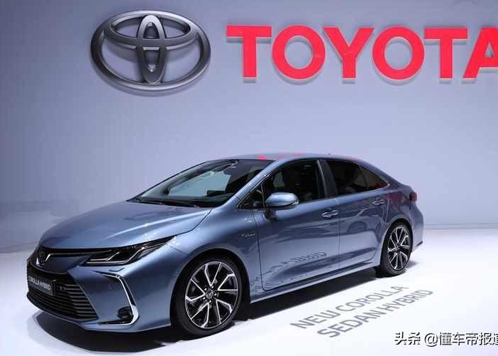 2019疫情开始时间是几月几日，疫情是从2019年什么时候开始的