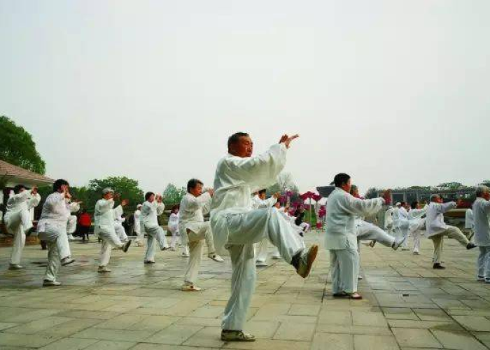 疫情下的家庭，疫情下家庭适合养松鼠吗