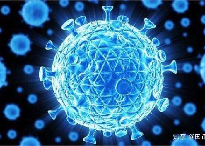 2020年疫情是什么病毒，2020年疫情是什么病毒毒株