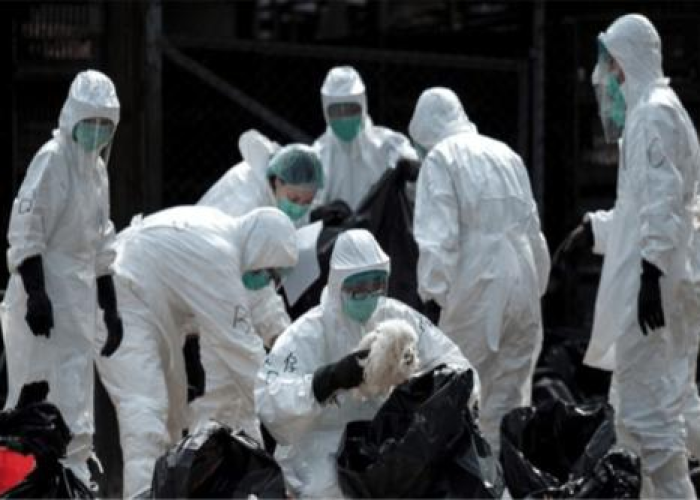疫情严重十大城市有哪些，疫情最严重的几个城市2021