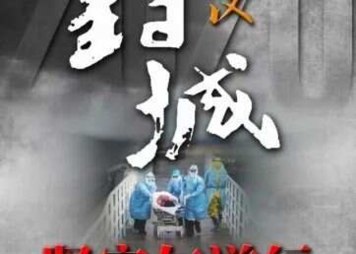 疫情大面积封城是哪一年，2020疫情封城什么时候开始的