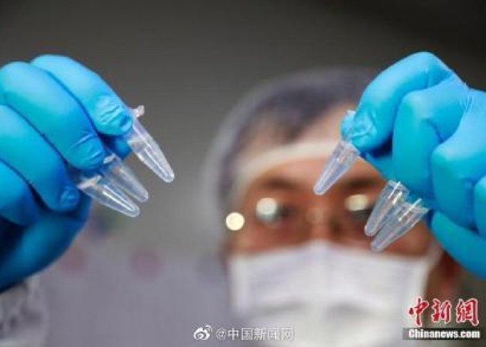 疫情病毒属于什么病毒，疫情病毒是