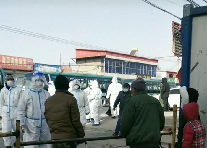 藁城疫情怎么爆发的，藁城疫情怎么爆发的呢